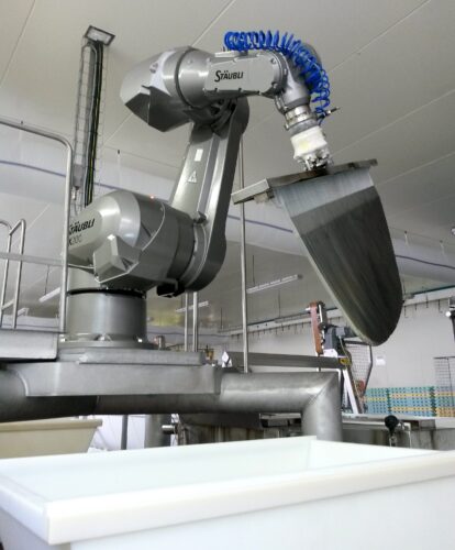 Robot Stäubli pomáhá ve výrobě sýrů